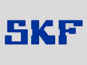 SKF-Logopuedeser13